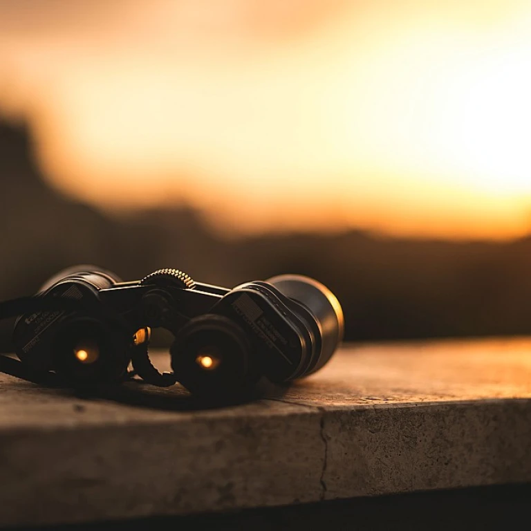 Comment choisir un logiciel pour la gestion des licences logicielles ?